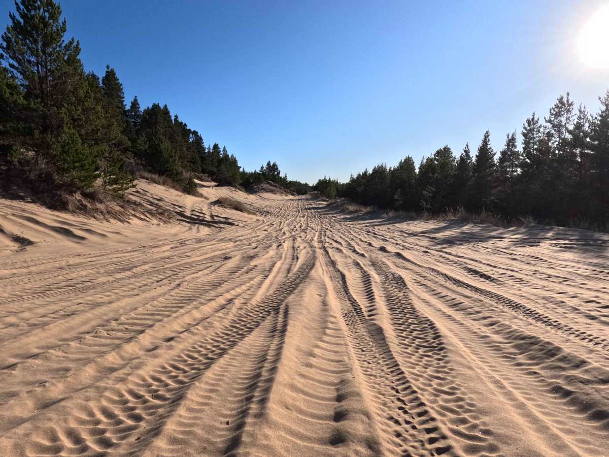 Horsefall OHV Trail trail photo