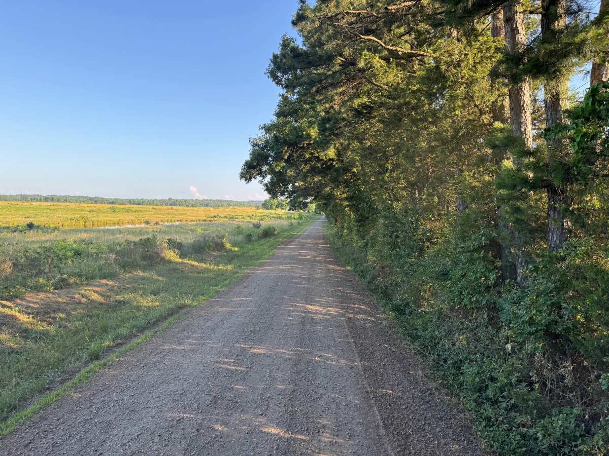 County Road 4200 photo 3