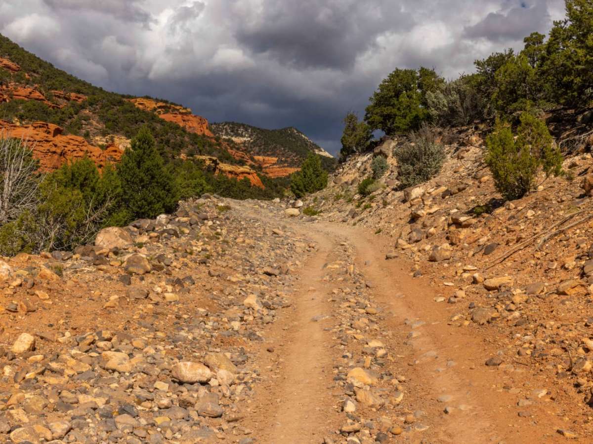 Loa Great Western Trail trail photo
