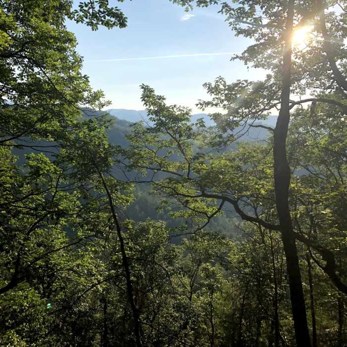 Near Woody Gap and Dockerty Lake Loop