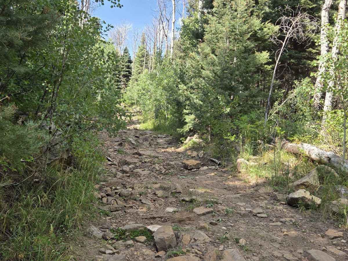 First Notch Road - FS 620 photo 4
