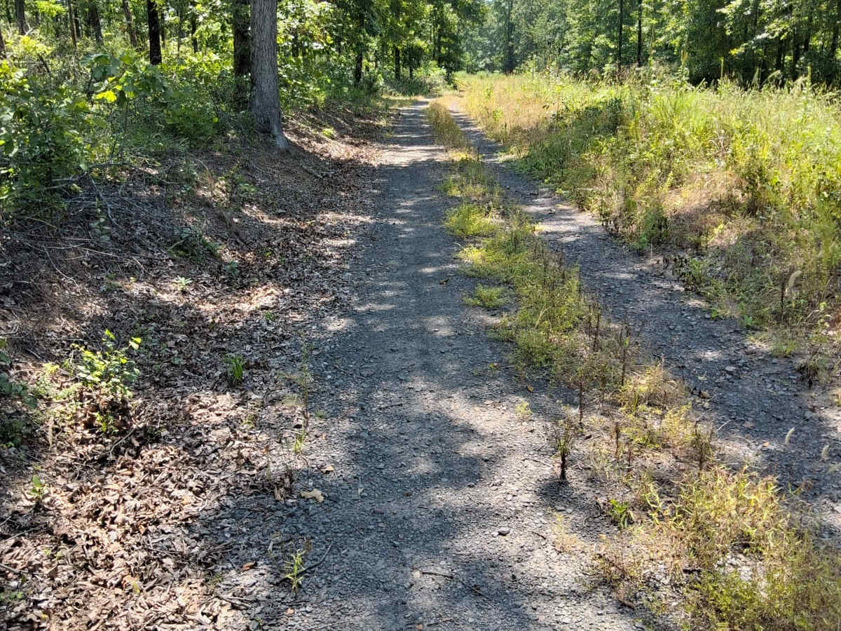 Eoff Road photo 2
