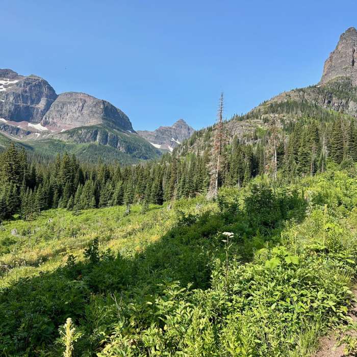 Near Continental Divide Trail: Dawson Pass Alternate