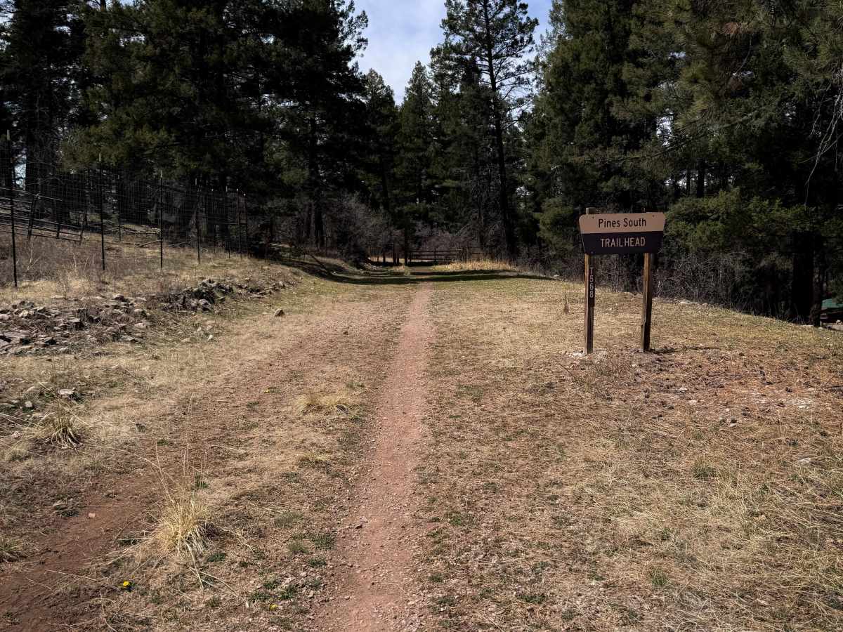 Pines South Trail  trail photo