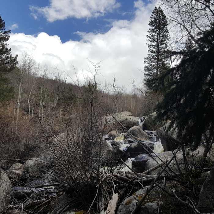 Near Hunter Creek Valley