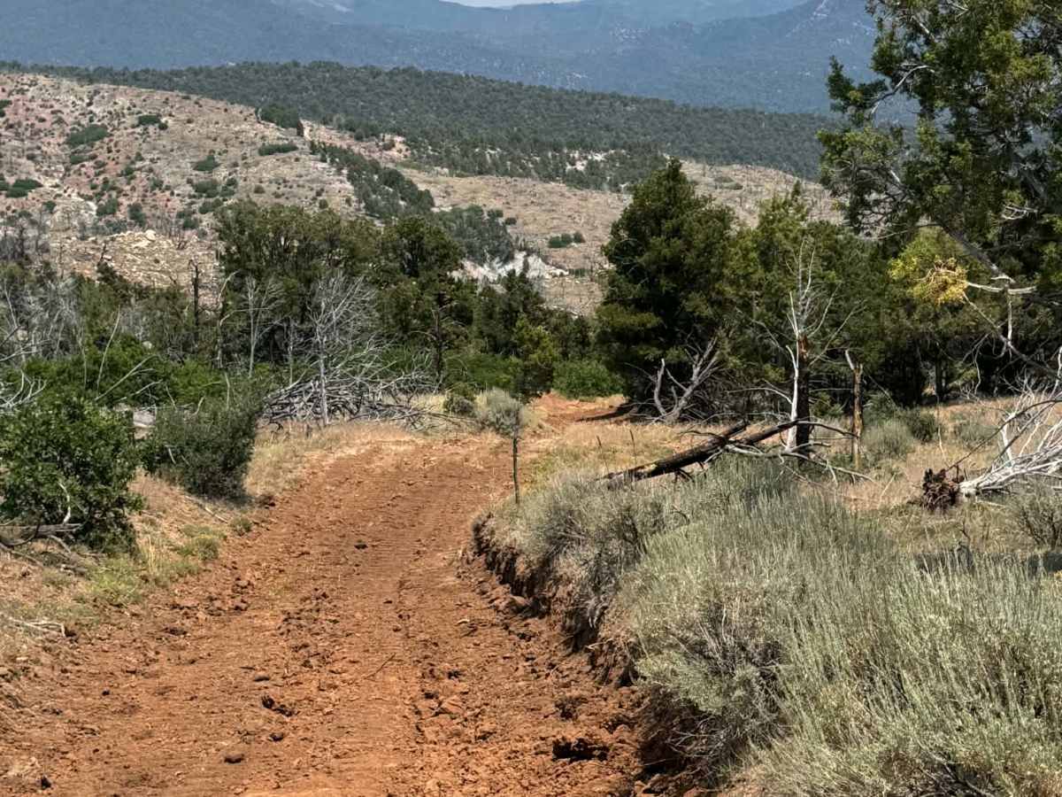 Cedar Mountain East trail photo