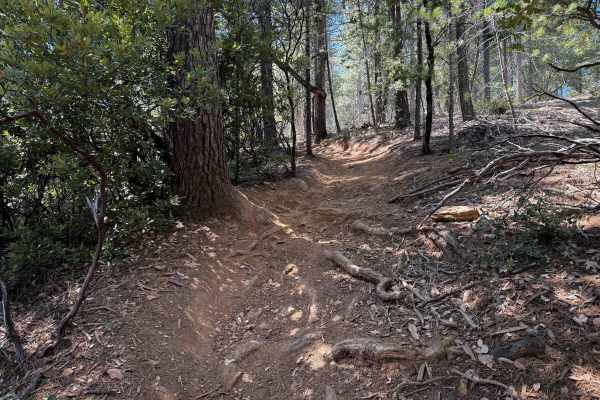 Trail 5-2 (11E29) 