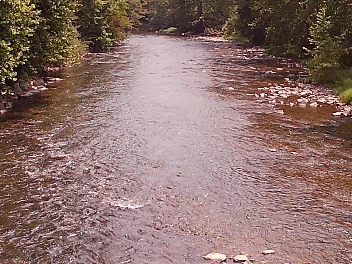 White Mountain Road photo 2