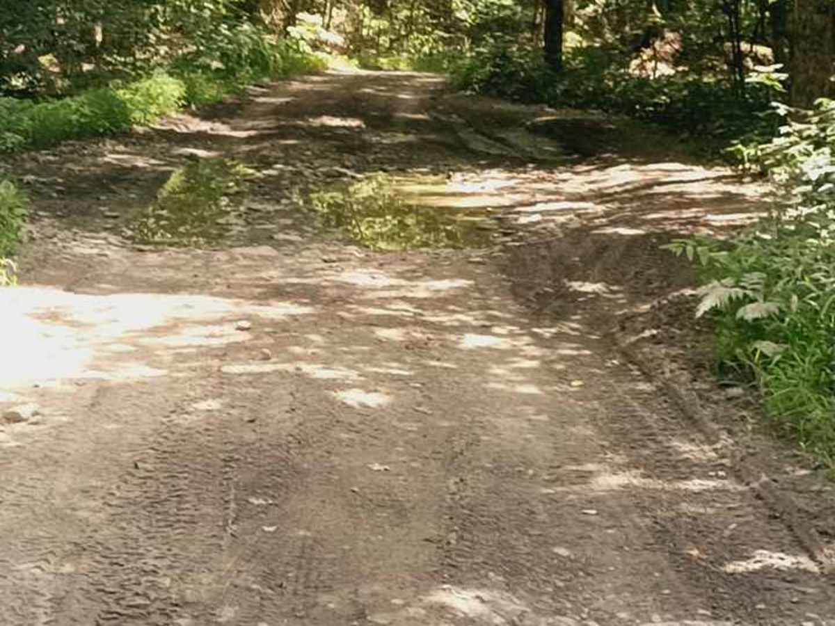 Owego Hill Road trail photo