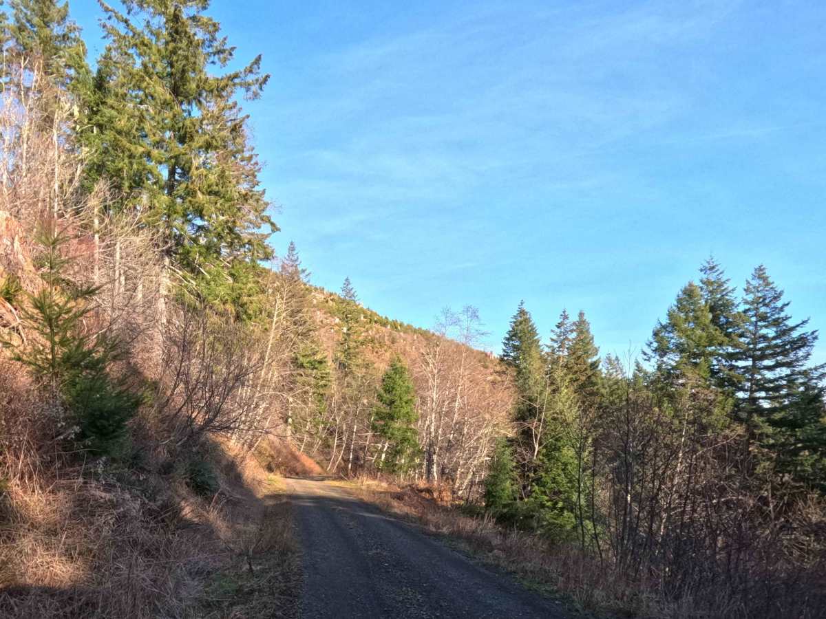 Bobcat Cutoff Road photo 3