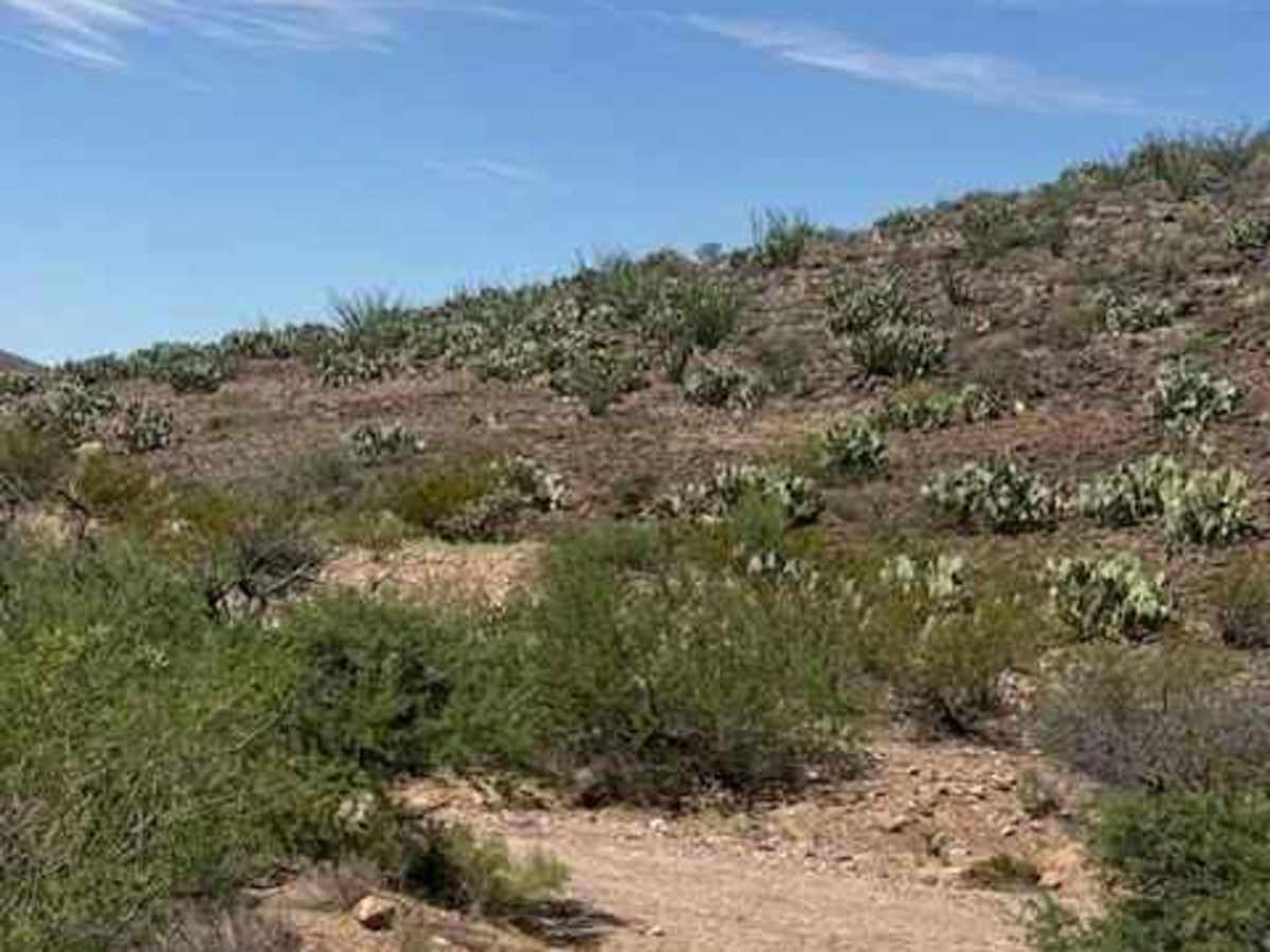 BLM SS1046B photo 3