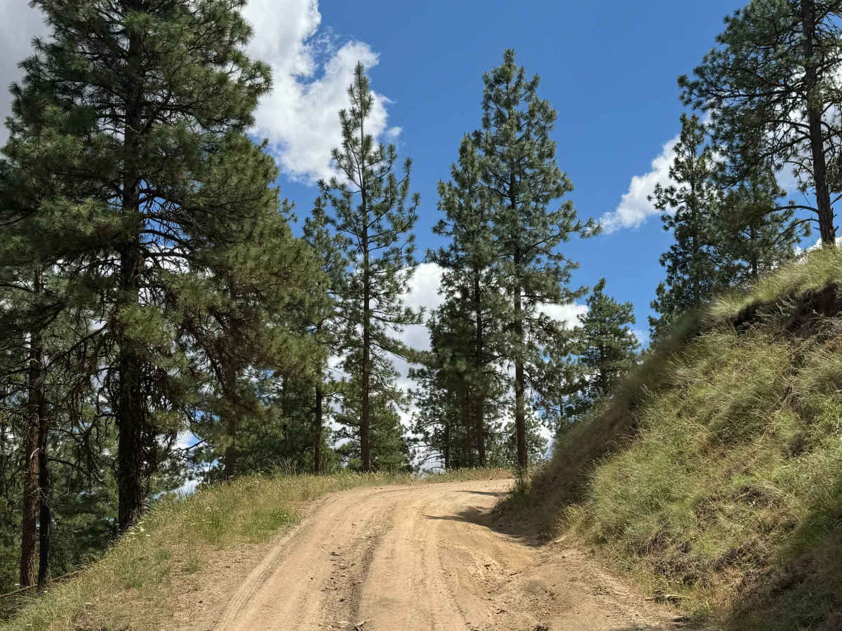 Milk Canyon Road photo 2