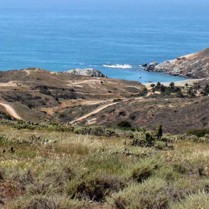 Near Trans Catalina Trail (TCT) Near Trans Catalina Trail (TCT)