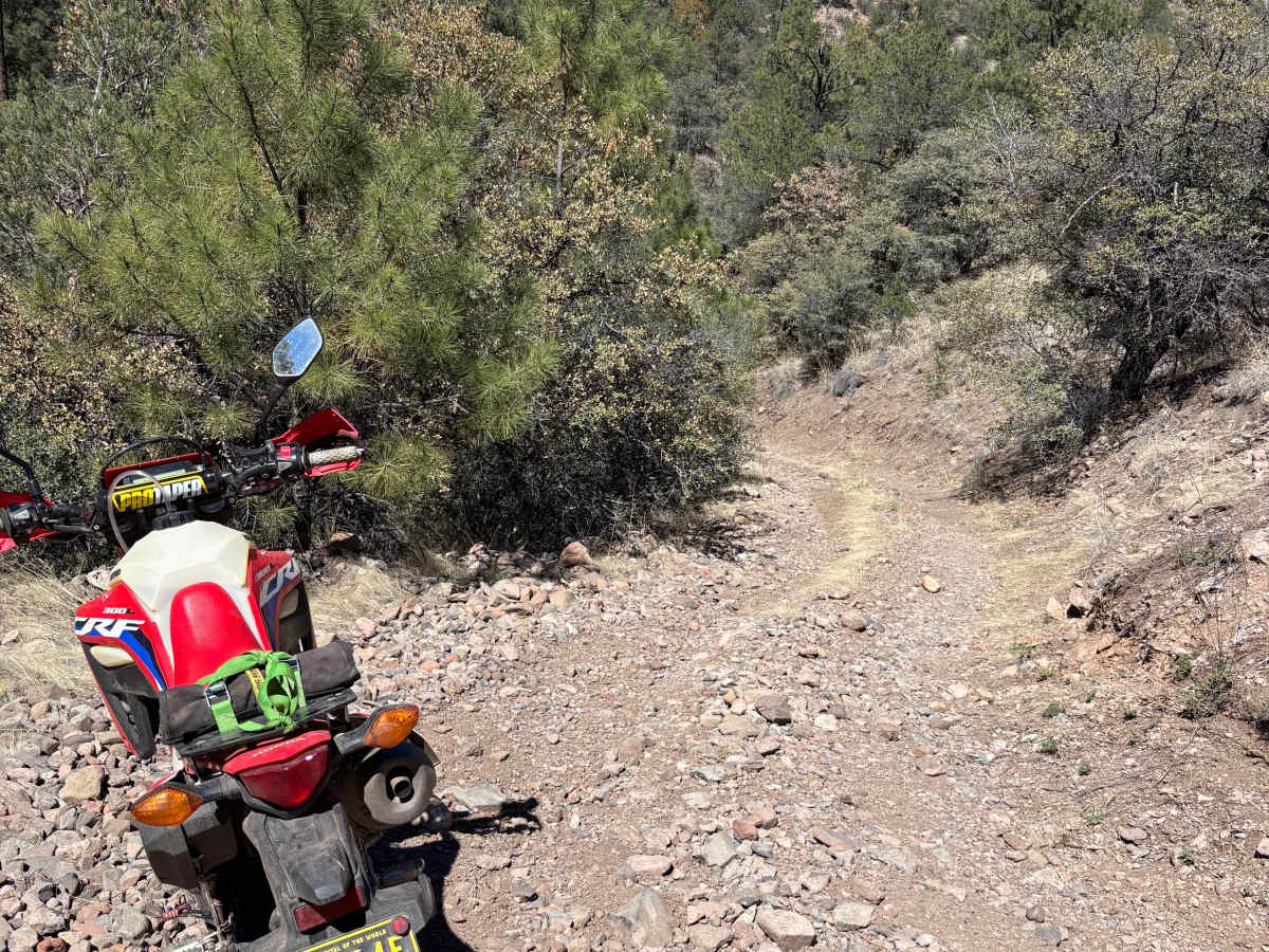 Hay Mesa - Trail 976  photo 5