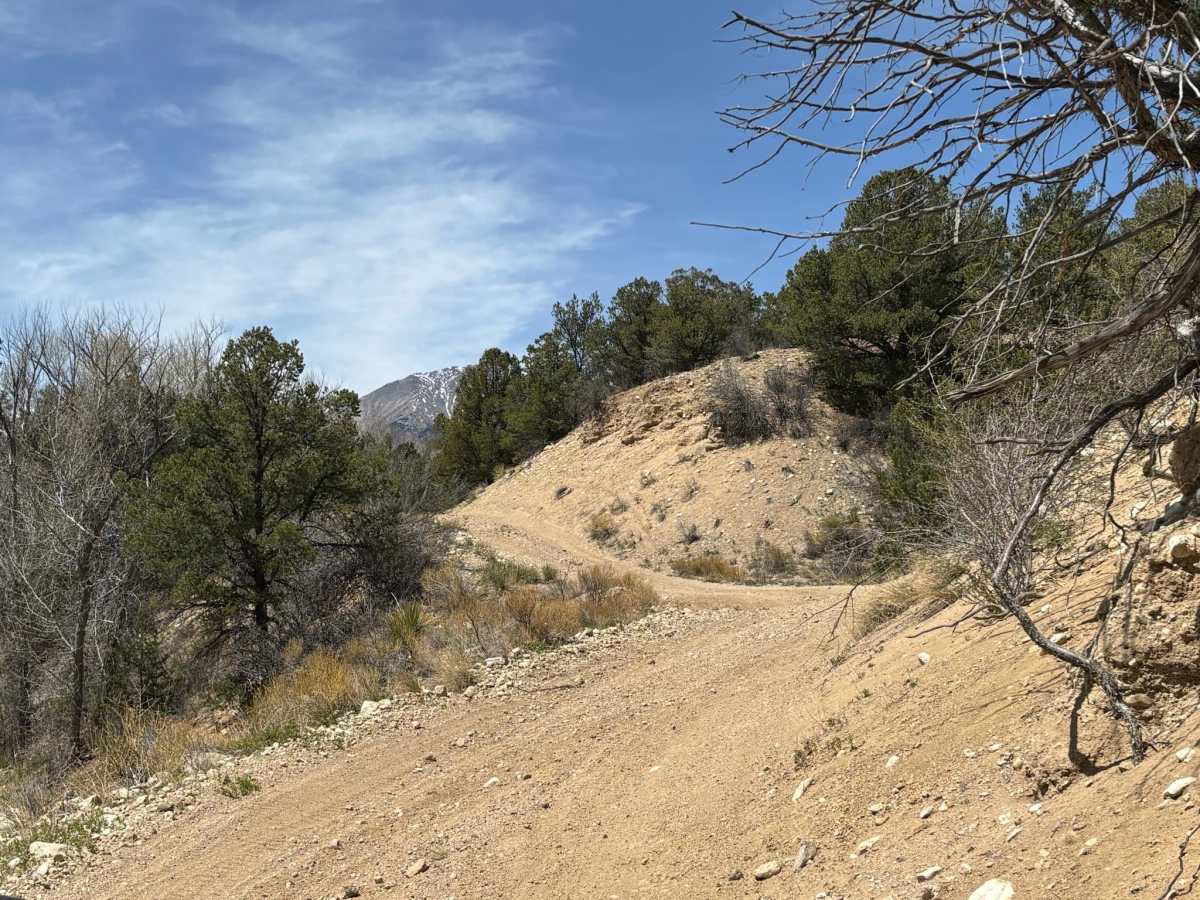 BLM 5630 photo 6