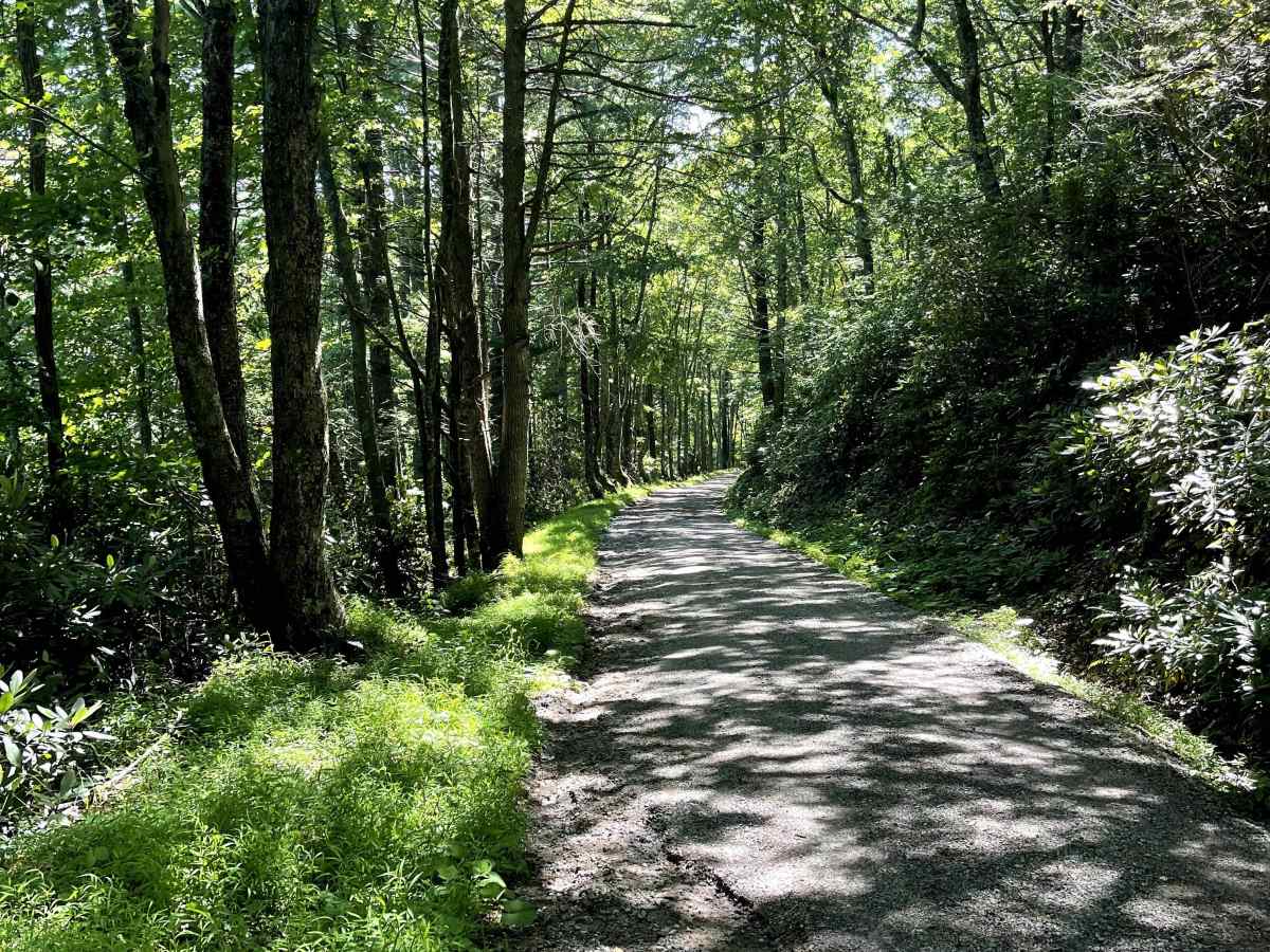 Blue Springs Road photo 2