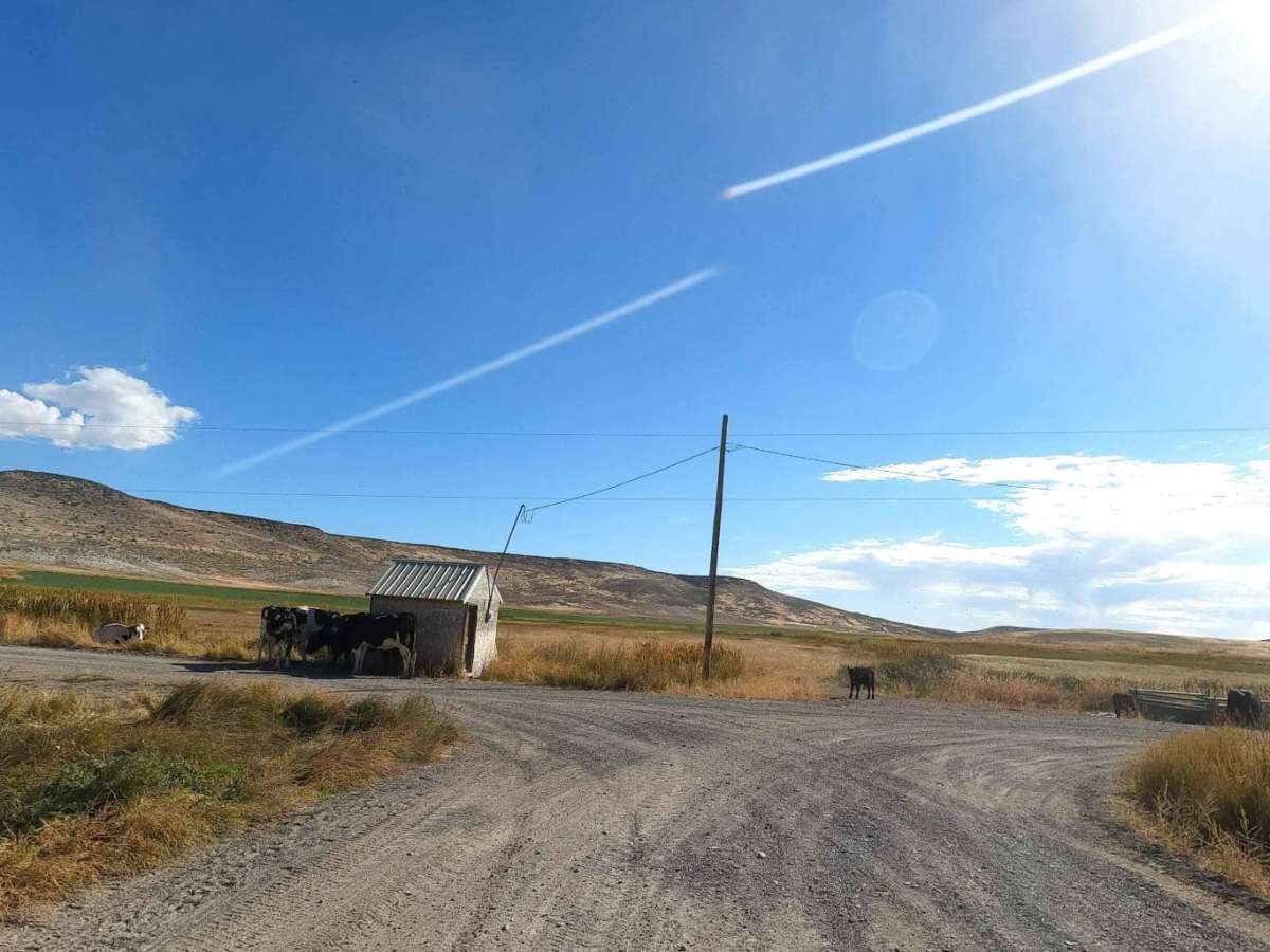 Bogus Ranch Road photo 5