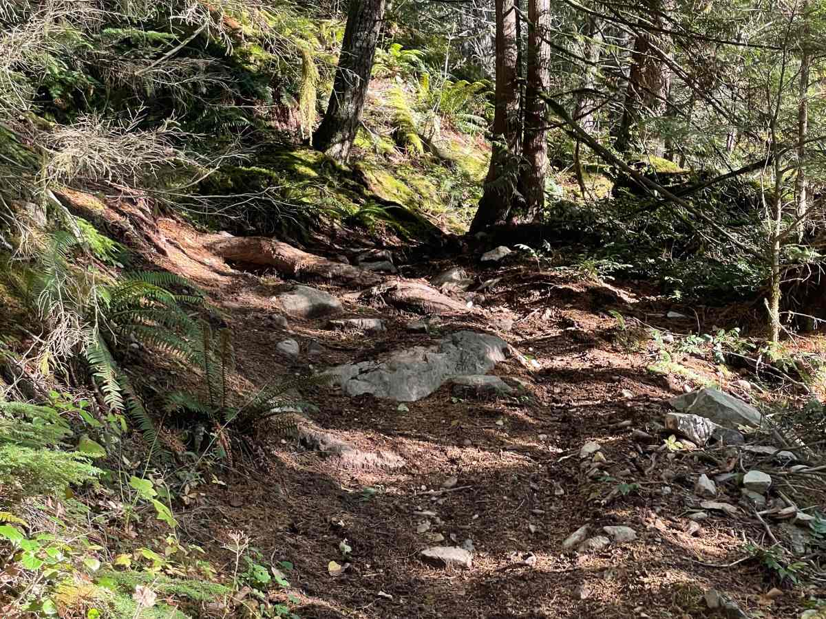 Escape Plan trail photo