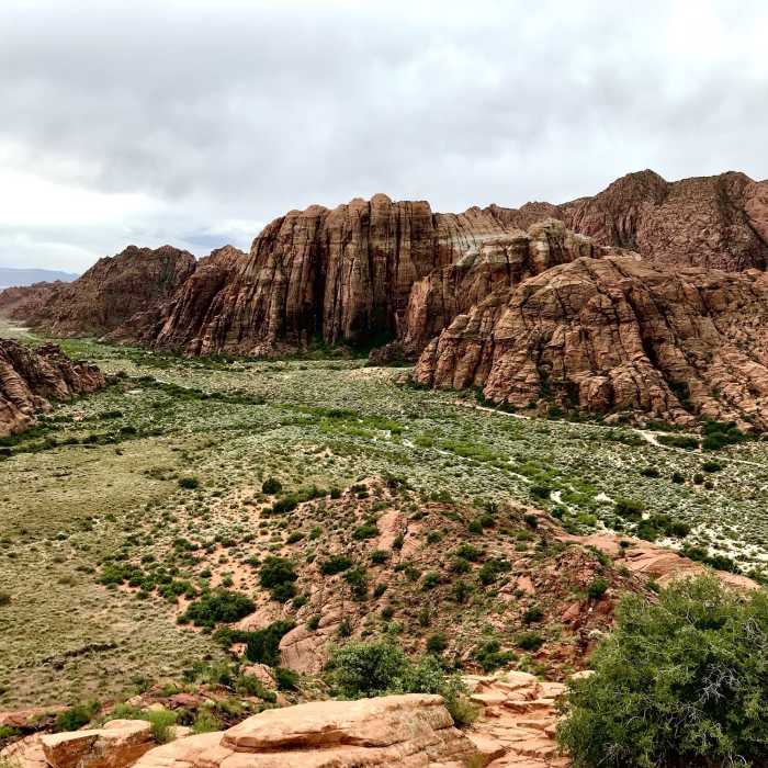 Near Lava Flow - Petrified Dunes Loop