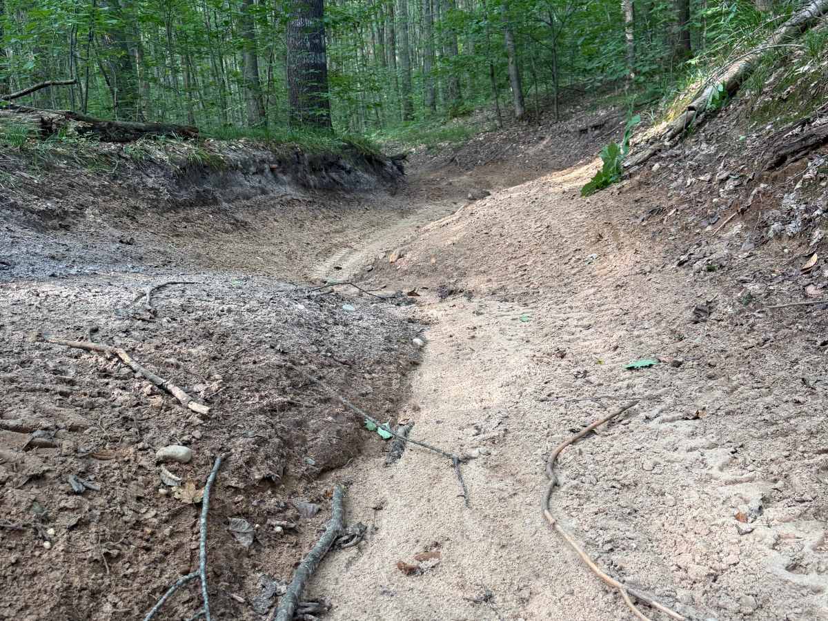 FS 7538/7534 trail photo