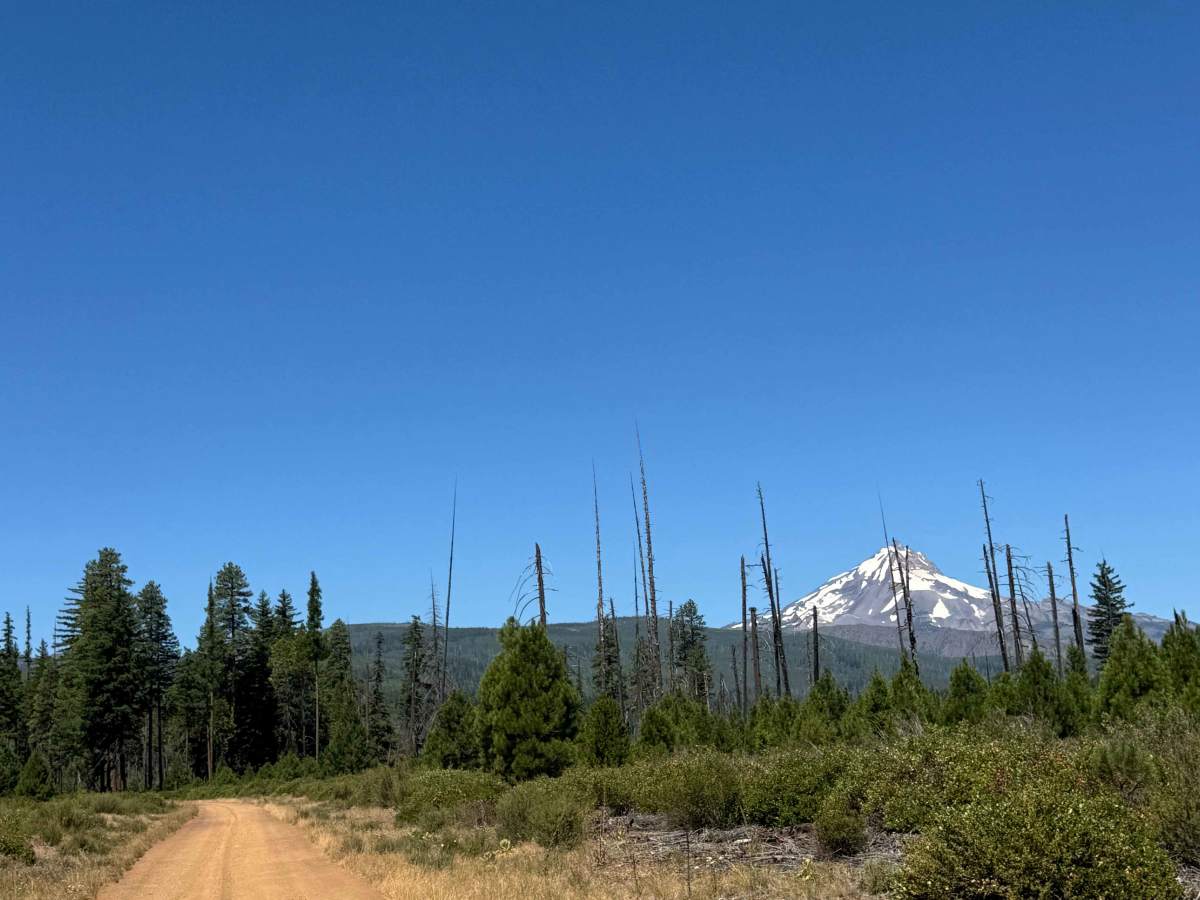 Jefferson Lake Trail photo 2