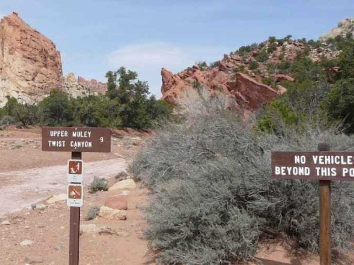 Upper Muley Twist Canyon Road photo 3