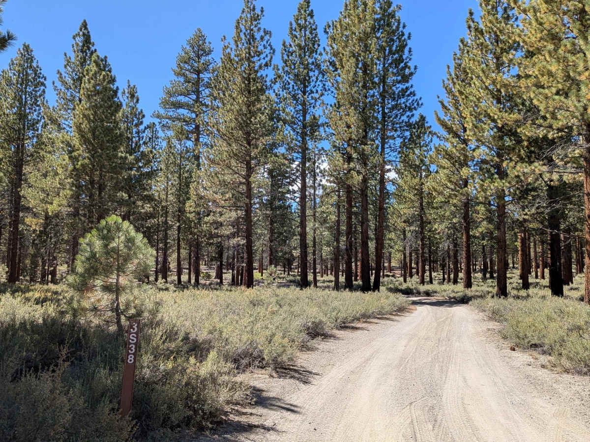 Sand Flat FS 3S38 trail photo