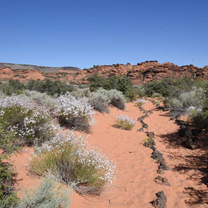 Near West Canyon Road