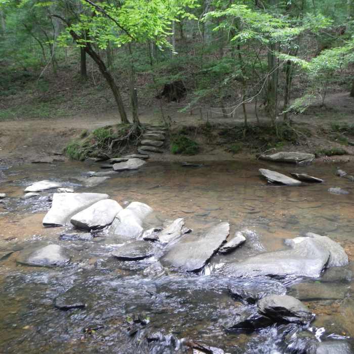 Crossing of the North Branch of Rock Creek. Near Lake Bernard Frank Loop