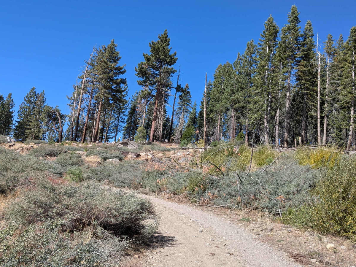 Fence Creek Road - FS 6N06 trail photo