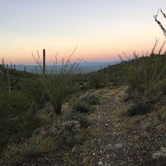 Early morning view from the Gould Mine Trail. Near Gould Mine Trail