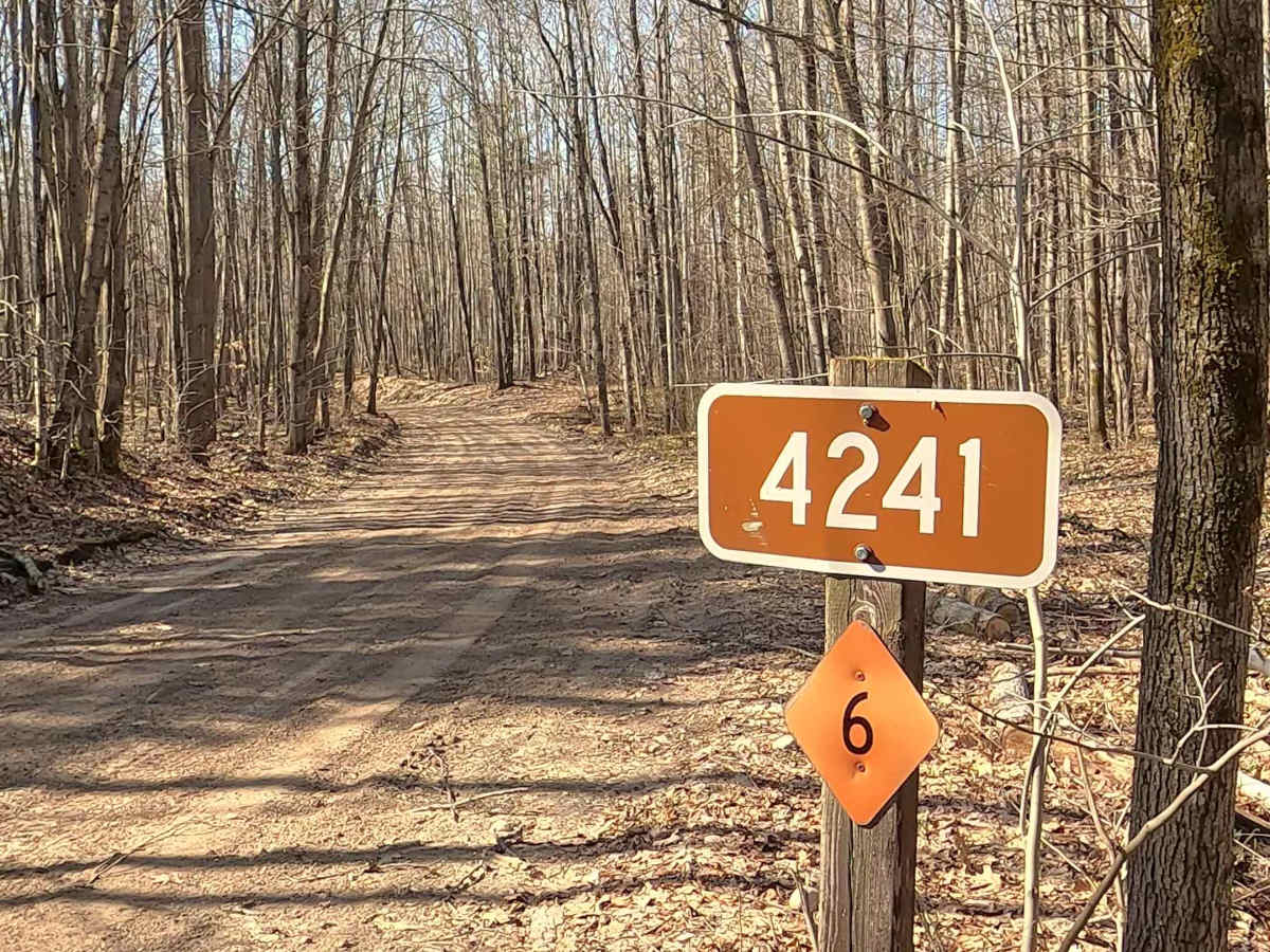 FS 4241 trail photo