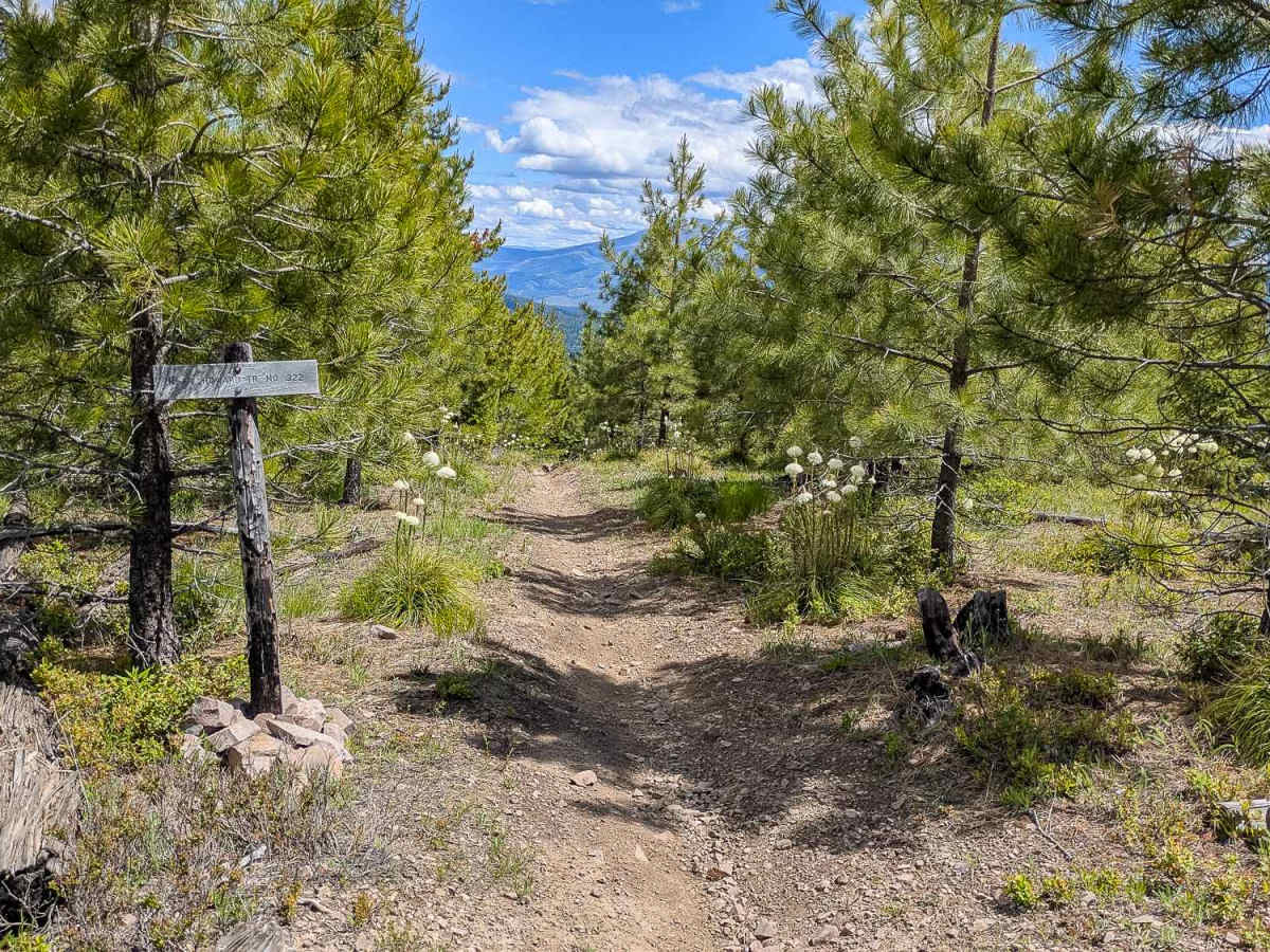 North Fork of Howard Trail 322 photo 2