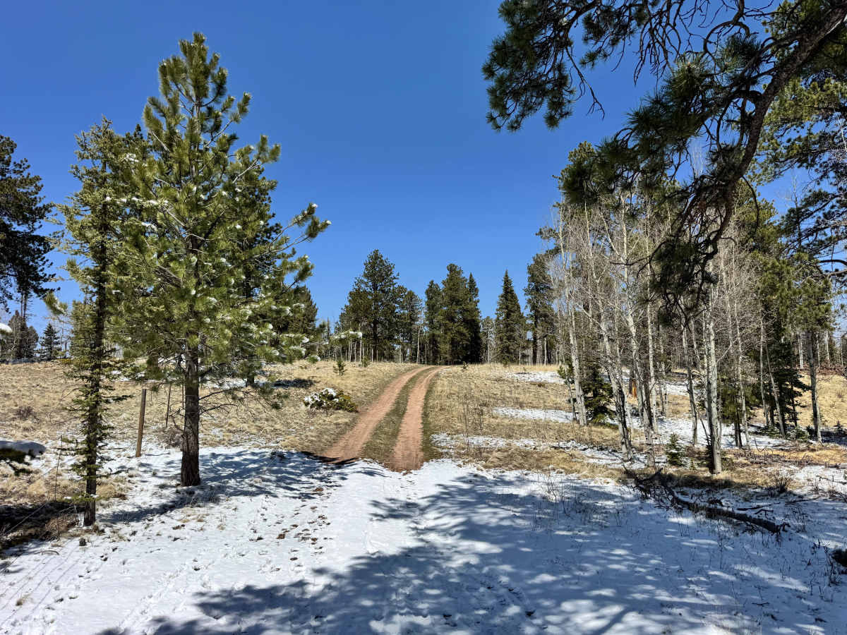 Crazy Gulch Road - FS 375 photo 6