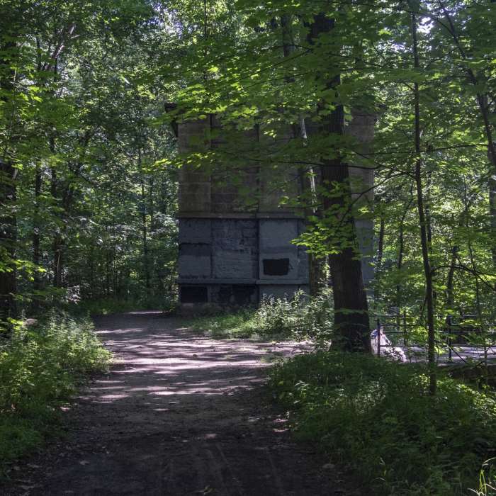 Near John Muir Trail