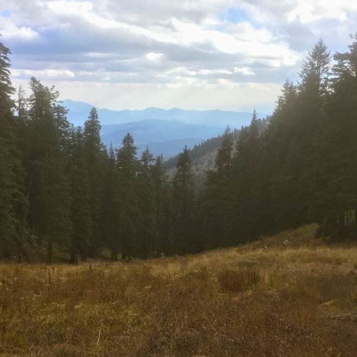 Near Mount Ashland Meadows