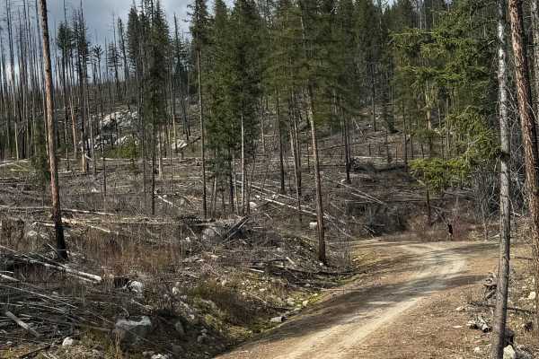 Dry Creek - FS 6100-350