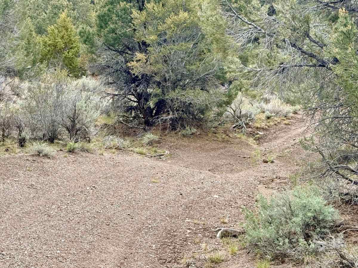 Trail Canyon Spur - FS 43312A photo 5