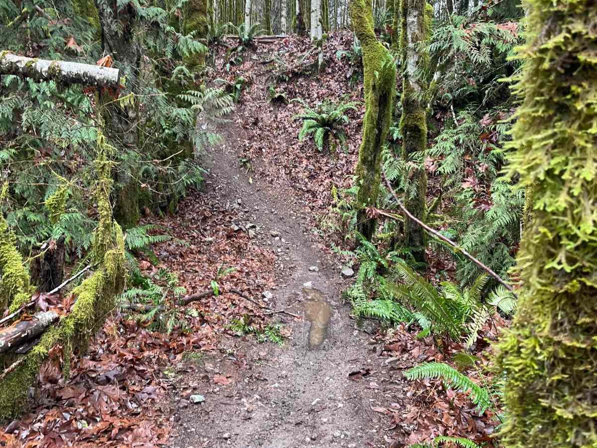 Bob and Weave trail photo