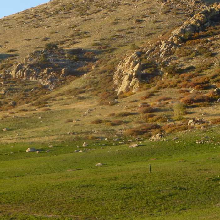 Rabbit Mountain Open Space Near Rabbit Mountain