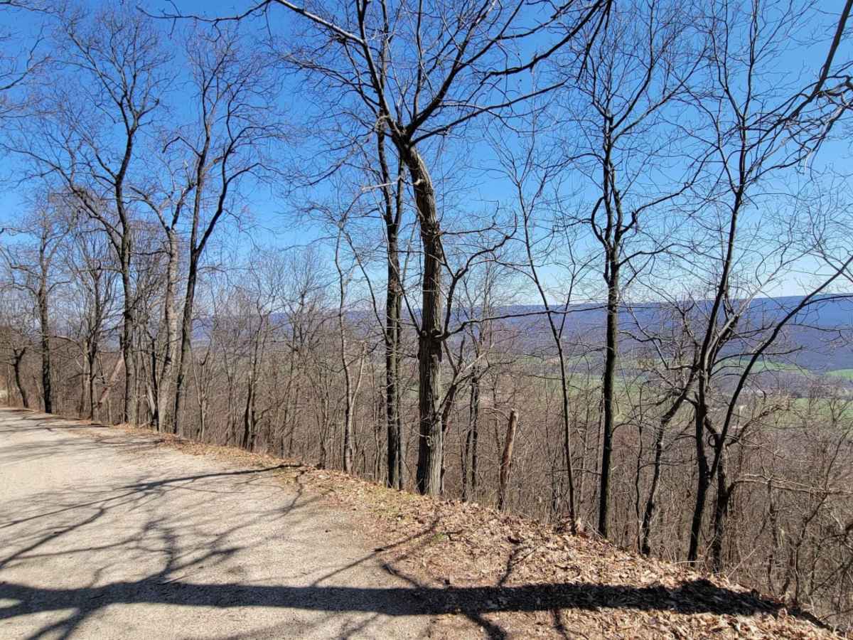 Germantown Road trail photo