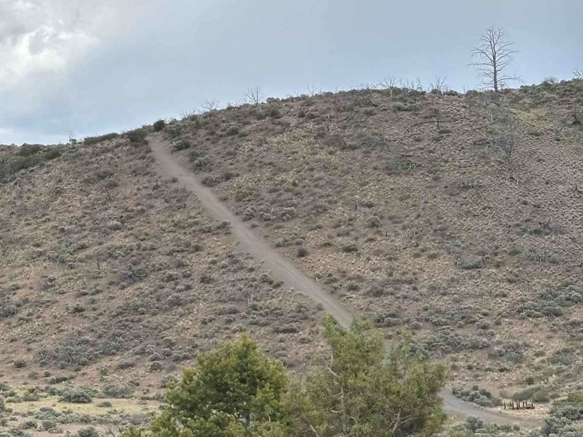 No Name Hill trail photo