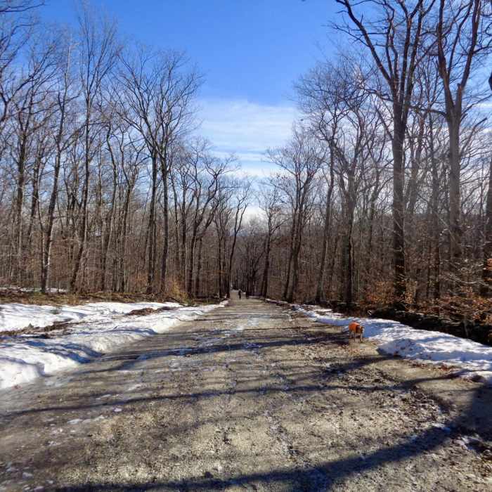 Near Mount Wachusett