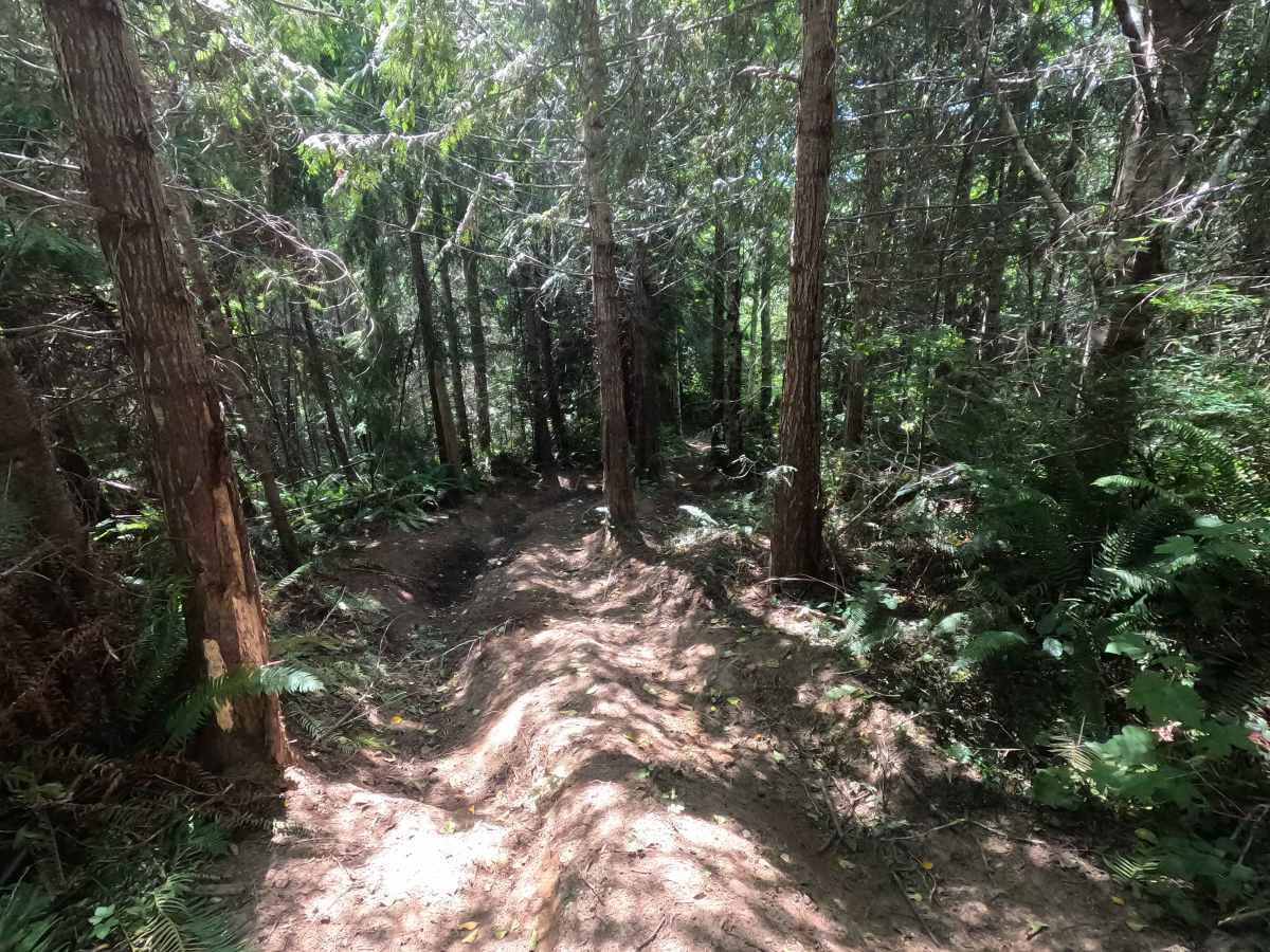 Sasquatch Hills Trail photo 4