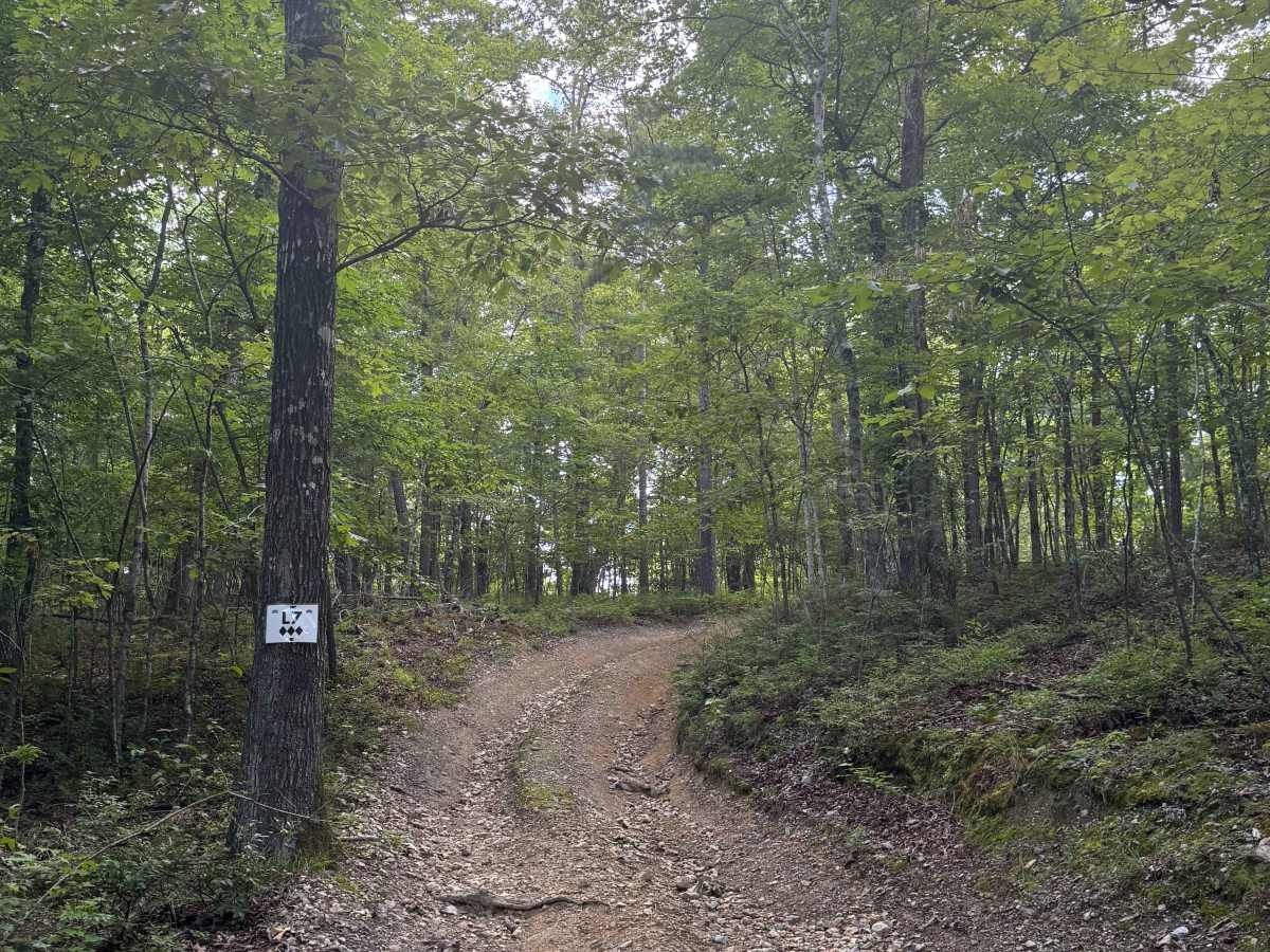 L7 trail photo