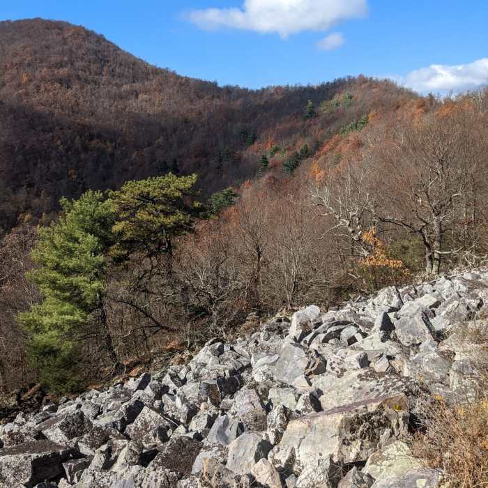 Near Furnace Mountain-Austin Mountain Loop