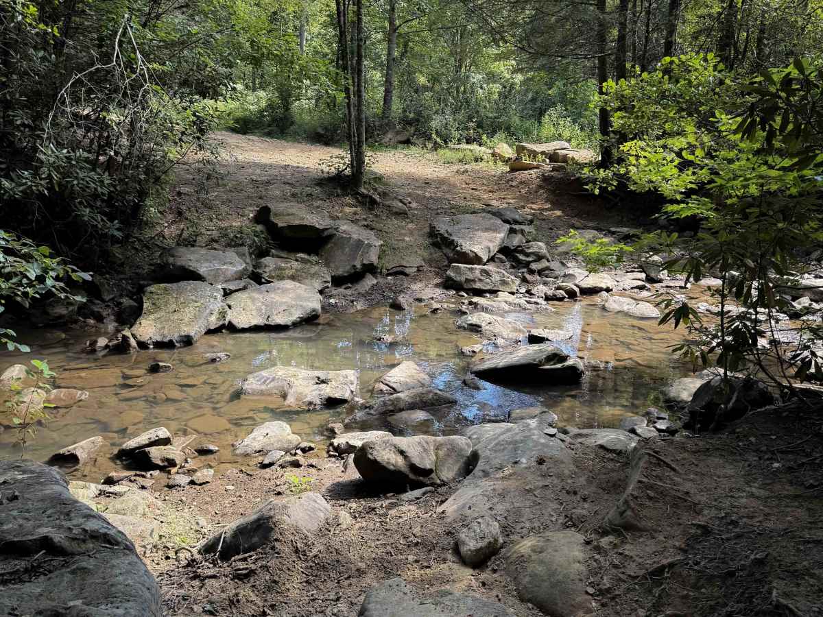 Ollie’s Creek Trail 2  trail photo