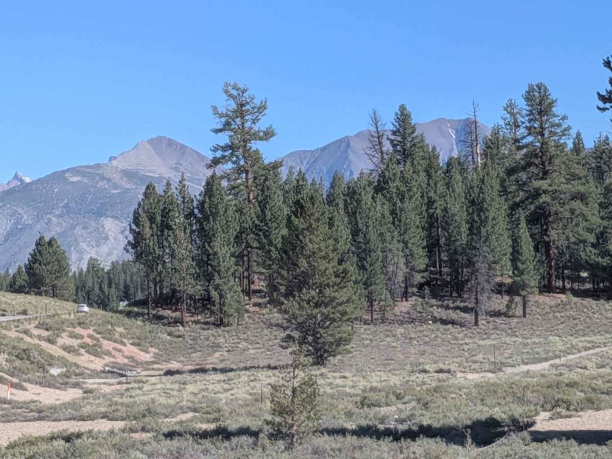 FS 3S118 trail photo