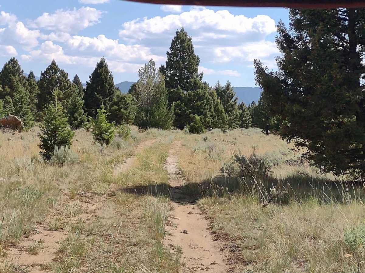 Wilderness Wanderings photo 2
