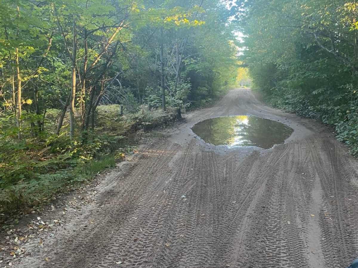 Ridge Road Loop trail photo